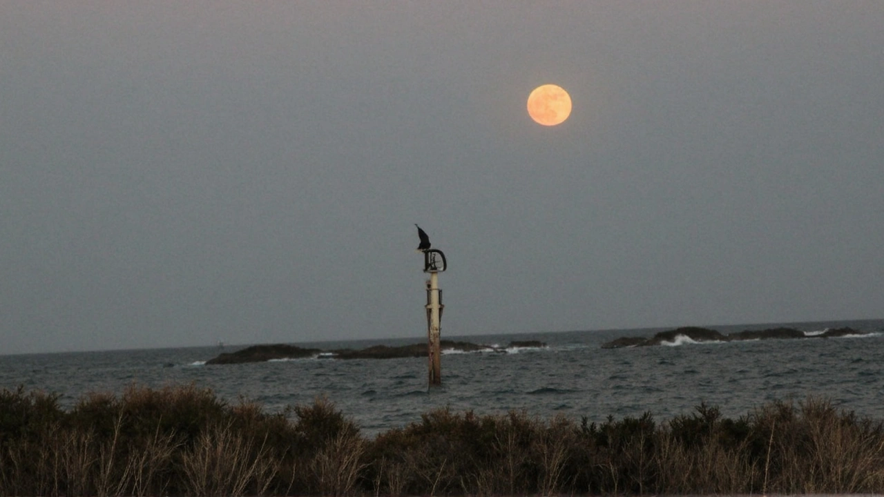 Witness the Majestic Worm Moon: A Supermoon Spectacle